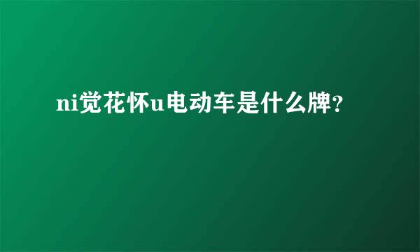 ni觉花怀u电动车是什么牌？