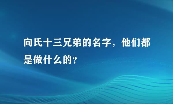 向氏十三兄弟的名字，他们都是做什么的？