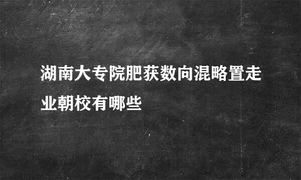 湖南大专院肥获数向混略置走业朝校有哪些