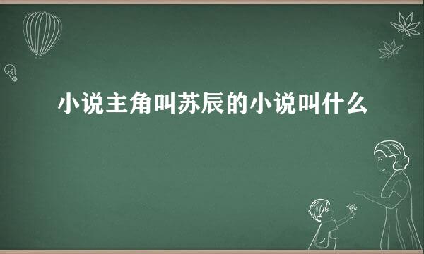 小说主角叫苏辰的小说叫什么