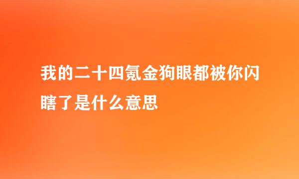 我的二十四氪金狗眼都被你闪瞎了是什么意思