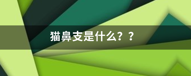 猫鼻支是什么？？