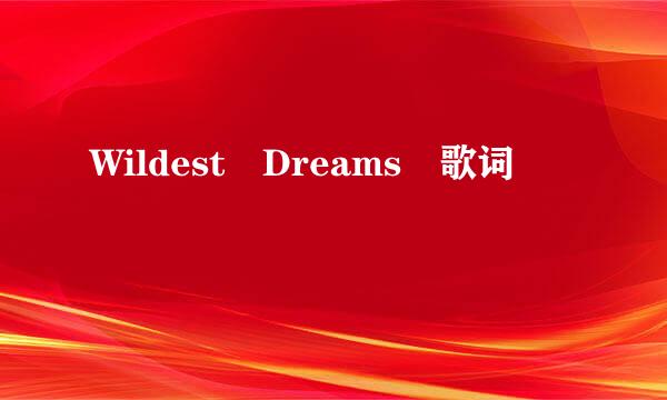 Wildest Dreams 歌词