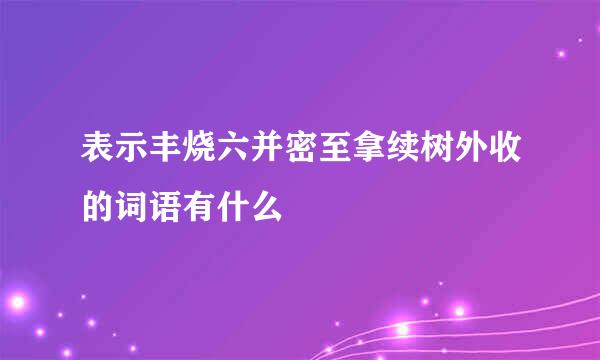 表示丰烧六并密至拿续树外收的词语有什么