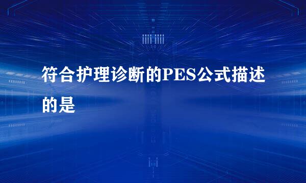 符合护理诊断的PES公式描述的是