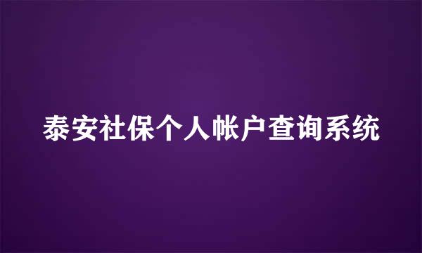 泰安社保个人帐户查询系统