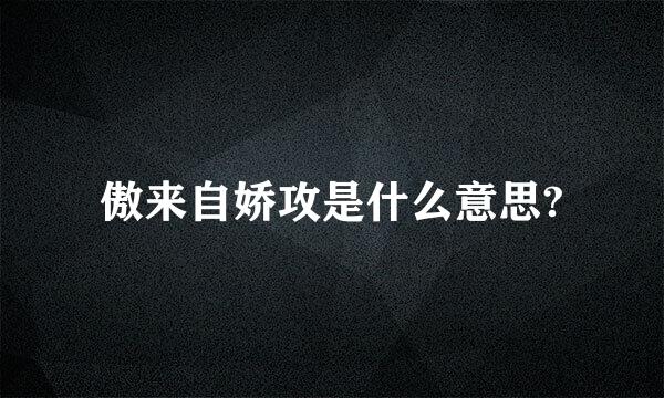 傲来自娇攻是什么意思?