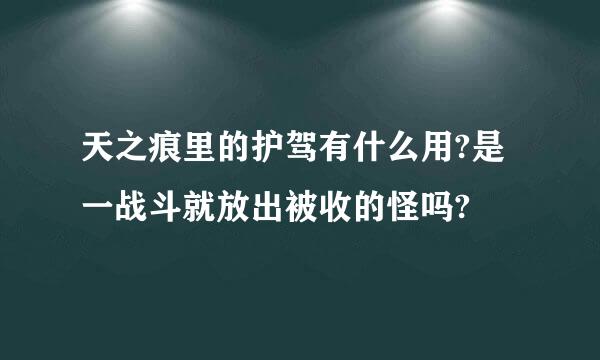 天之痕里的护驾有什么用?是一战斗就放出被收的怪吗?