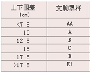 罩杯大小怎么看