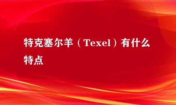 特克塞尔羊（Texel）有什么特点