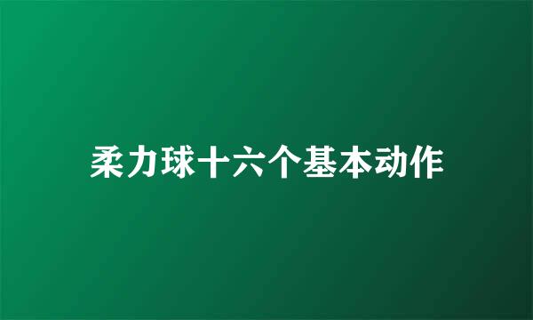 柔力球十六个基本动作