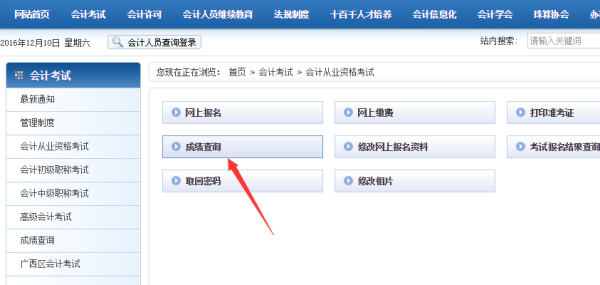 会计从业资格考试什么时候能查询成绩
