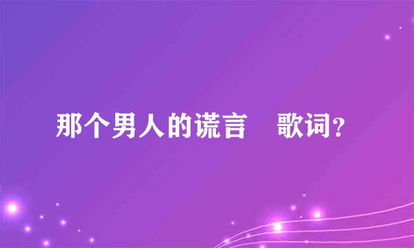 那个男人的谎言 歌词？