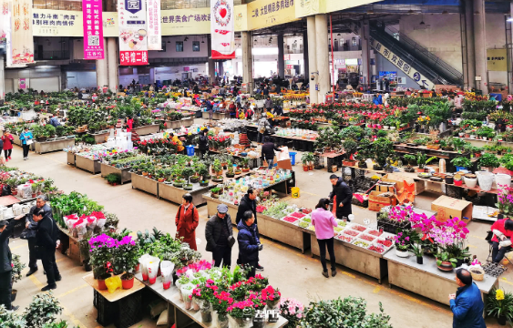 干货批发市场进货渠道来自？