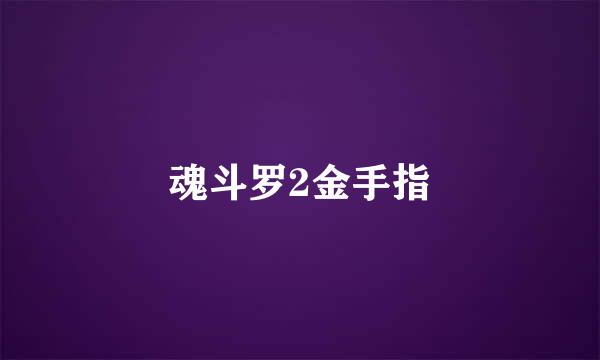 魂斗罗2金手指