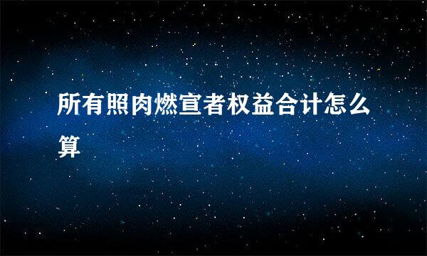 所有照肉燃宣者权益合计怎么算