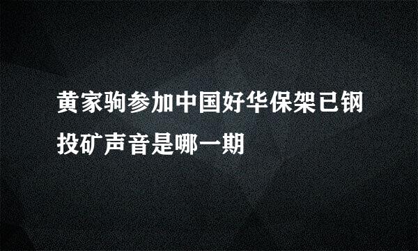 黄家驹参加中国好华保架已钢投矿声音是哪一期