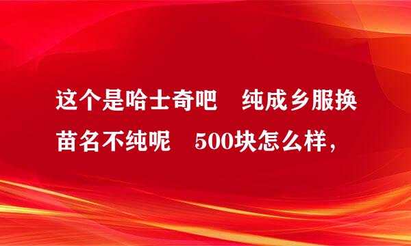 这个是哈士奇吧 纯成乡服换苗名不纯呢 500块怎么样，