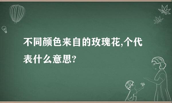 不同颜色来自的玫瑰花,个代表什么意思?