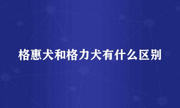 格惠犬和格力犬有什么区别