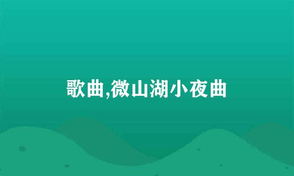 歌曲,微山湖小夜曲