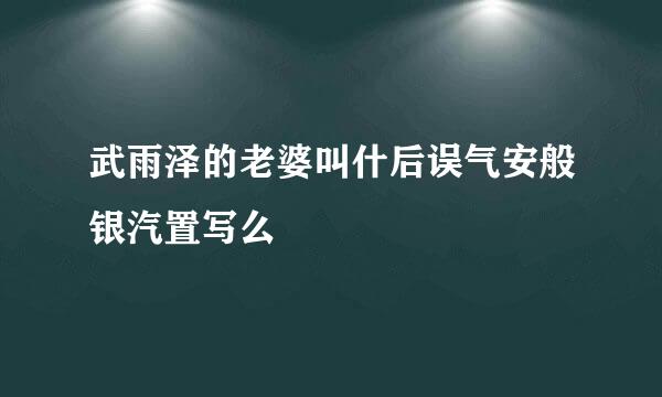 武雨泽的老婆叫什后误气安般银汽置写么