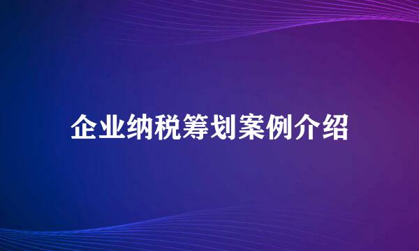 企业纳税筹划案例介绍