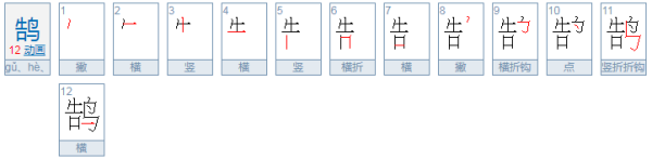 告鸟怎么读音是什么？