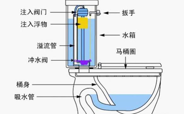 马桶原来自理结构图解