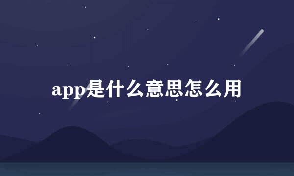 app是什么意思怎么用