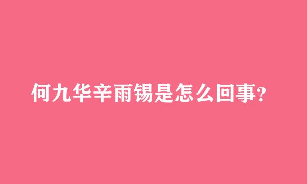 何九华辛雨锡是怎么回事？