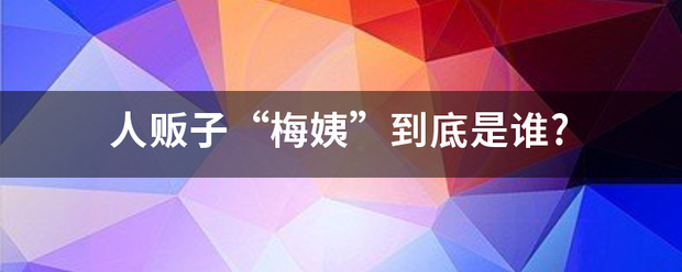 人贩子“梅姨”到底是谁?