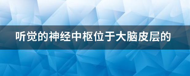 听觉的神经中枢位于大脑皮层的