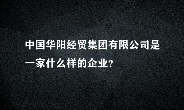 中国华阳经贸集团有限公司是一家什么样的企业？