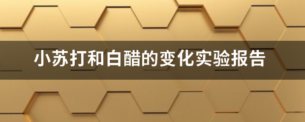 小苏打东孔呀及置和白醋的变化实验报告