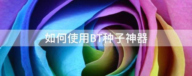 如何使用BT种子神器