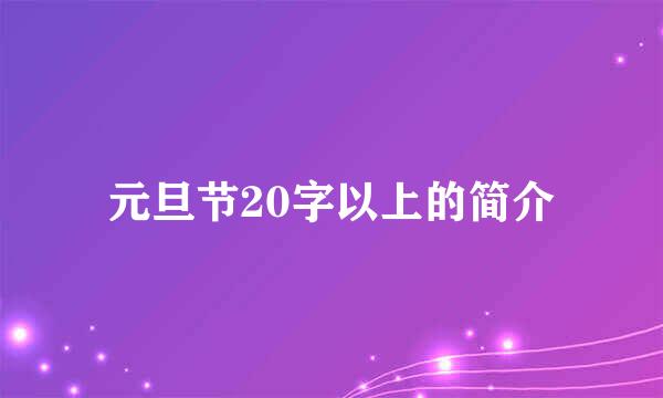 元旦节20字以上的简介