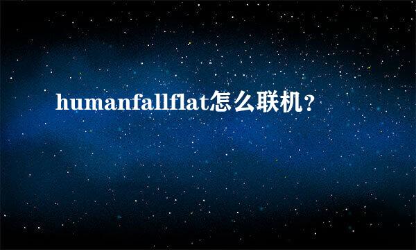 humanfallflat怎么联机？