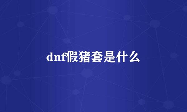 dnf假猪套是什么