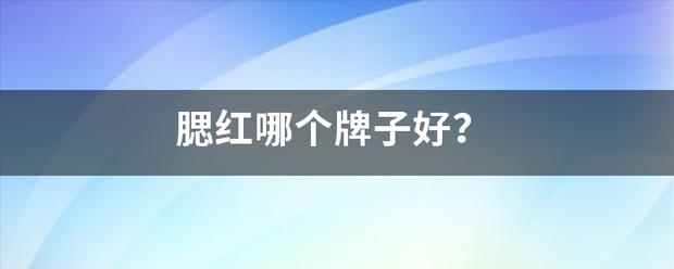 腮红哪个牌子好？