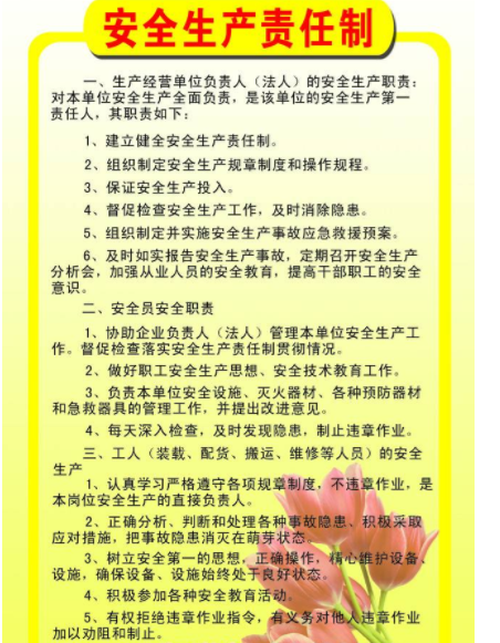 企业安全生产主体责任主要包括哪些内容