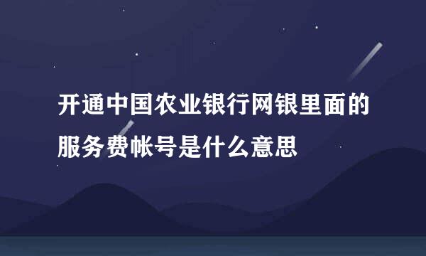 开通中国农业银行网银里面的服务费帐号是什么意思