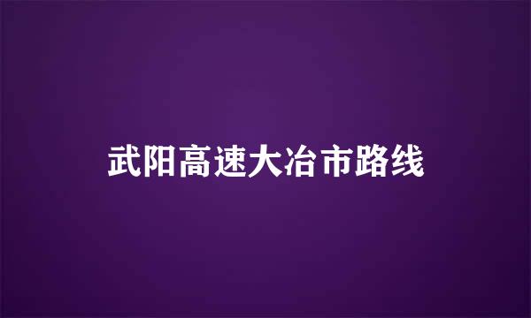 武阳高速大冶市路线