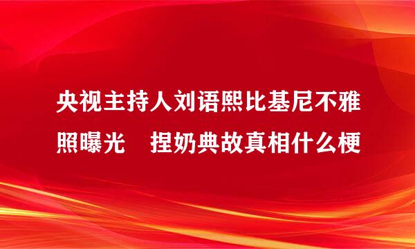 央视主持人刘语熙比基尼不雅照曝光 捏奶典故真相什么梗