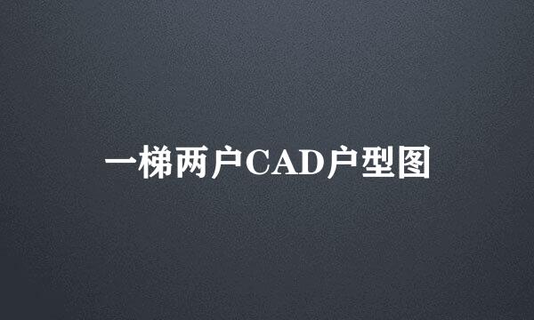 一梯两户CAD户型图