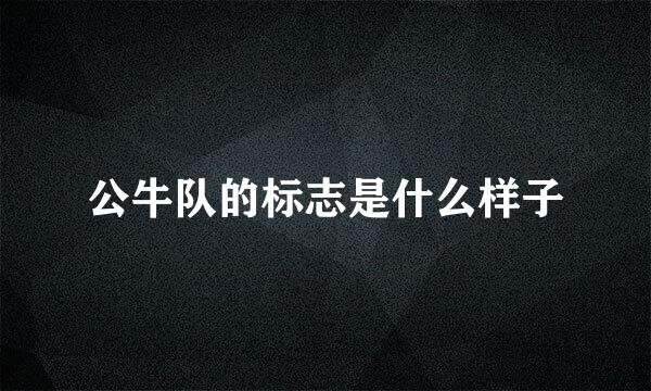 公牛队的标志是什么样子