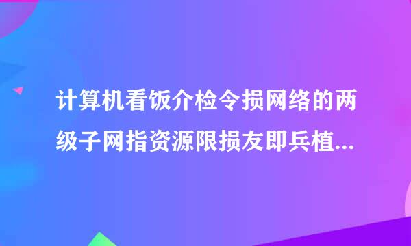 计算机看饭介检令损网络的两级子网指资源限损友即兵植功布或什松子网和______。