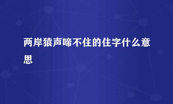 两岸猿声啼不住的住字什么意思