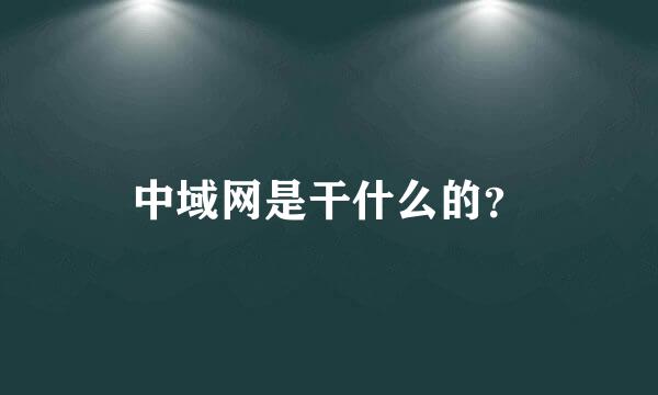 中域网是干什么的？