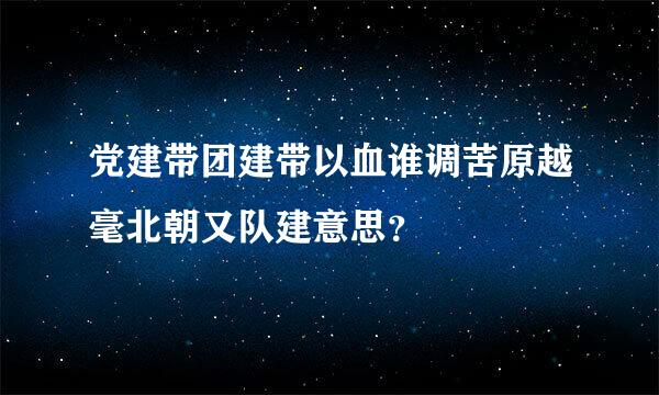 党建带团建带以血谁调苦原越毫北朝又队建意思？